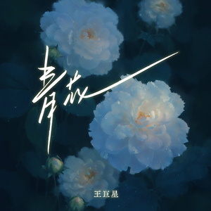 欧美人妖性交色情欣赏
