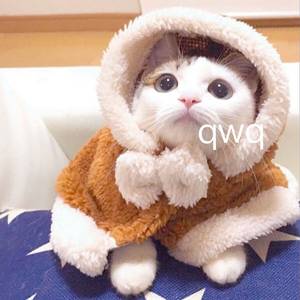 欧美人妖性交色情欣赏
