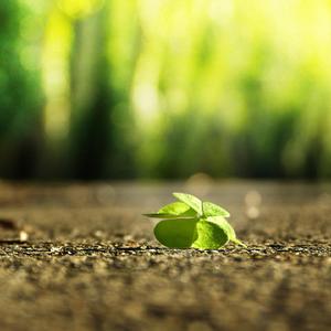 欧美人妖性交色情欣赏
